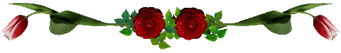 rose-line.gif